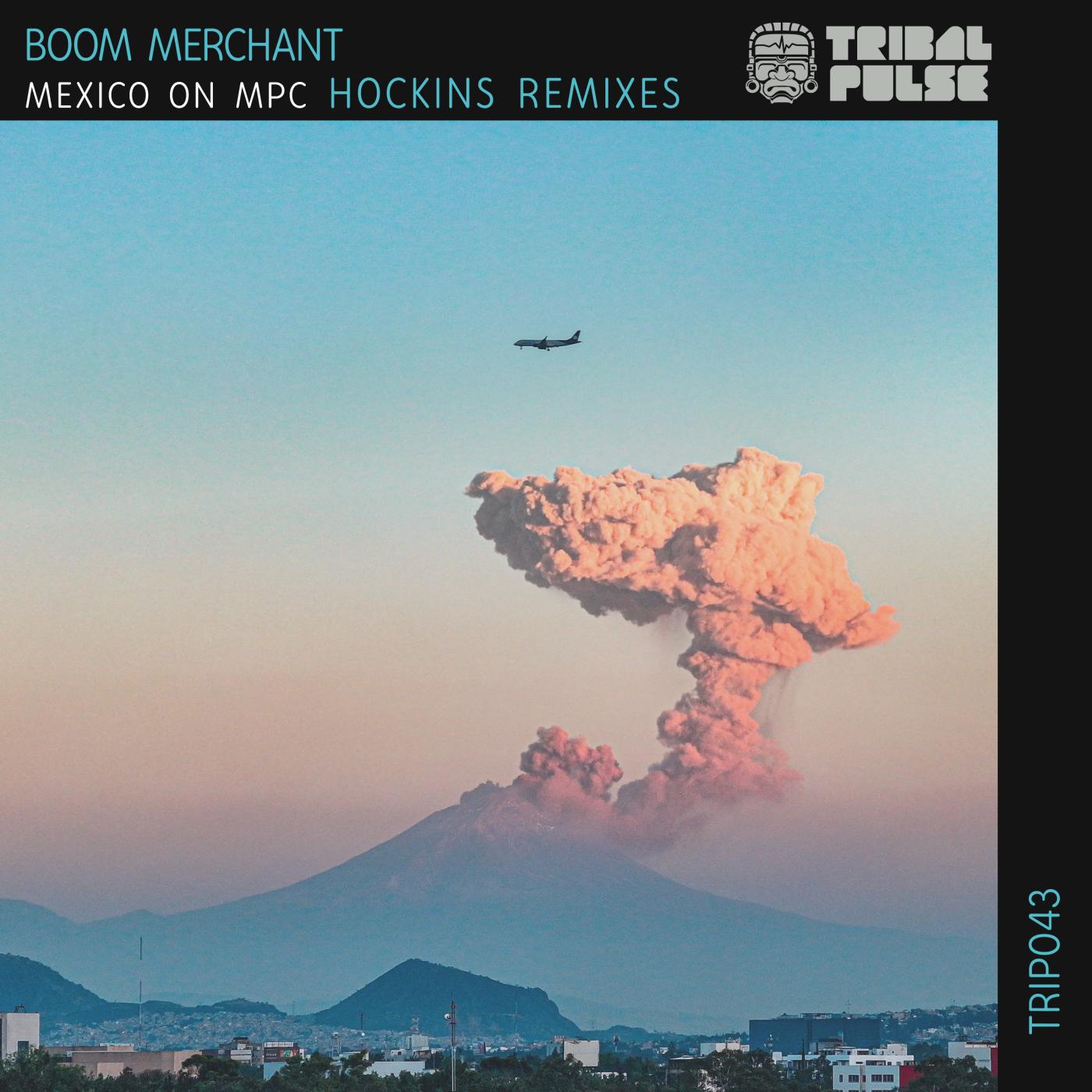 Acapulco (Hockins Roasted Remix)