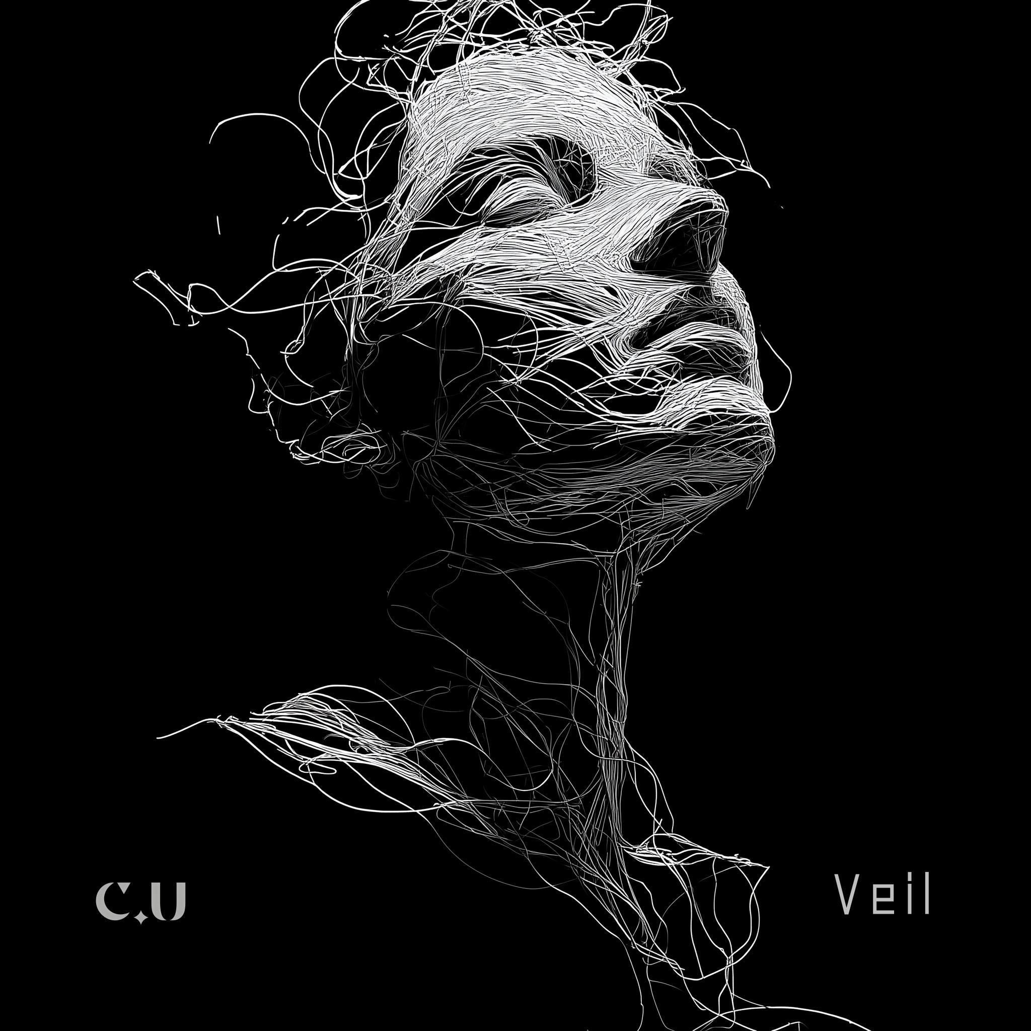Veil