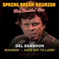 Spring Break Reunion: The Rockin' Era- Live