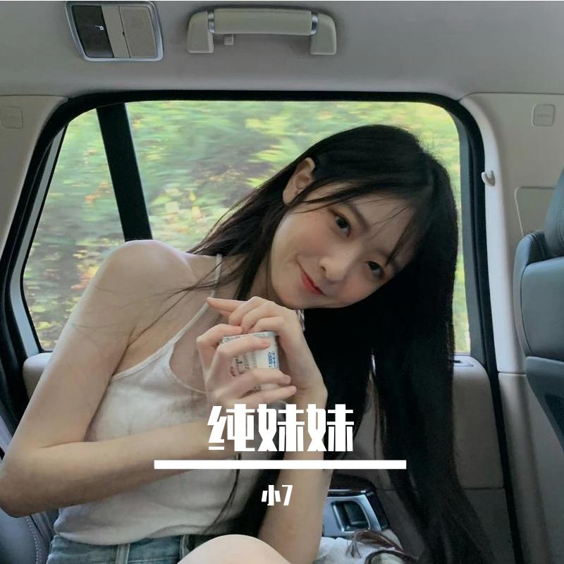 纯妹妹（小7 remix）封面
