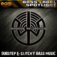 Wayside Recordings - Dubstep & Glitchy Bass Music Summer 2014 V.3 Bass Label Spotlight