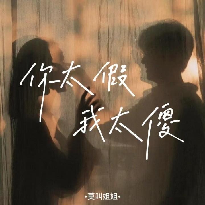 你太假我太傻 (阿尼律动版)封面