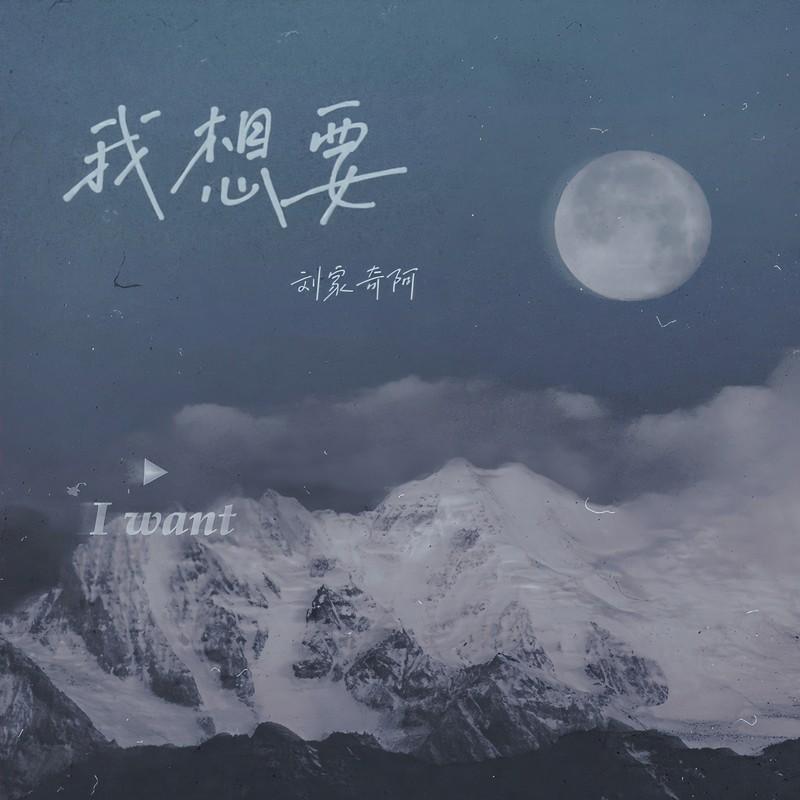 我想要 (DJheap九天版)封面