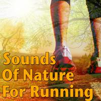 Sounds Of Nature For Running, Vol.1