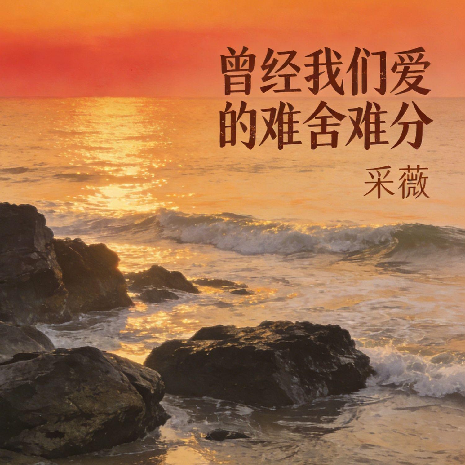 曾经我们爱的难舍难分(伴奏)封面
