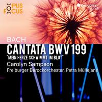 Bach: Cantata, BWV 199