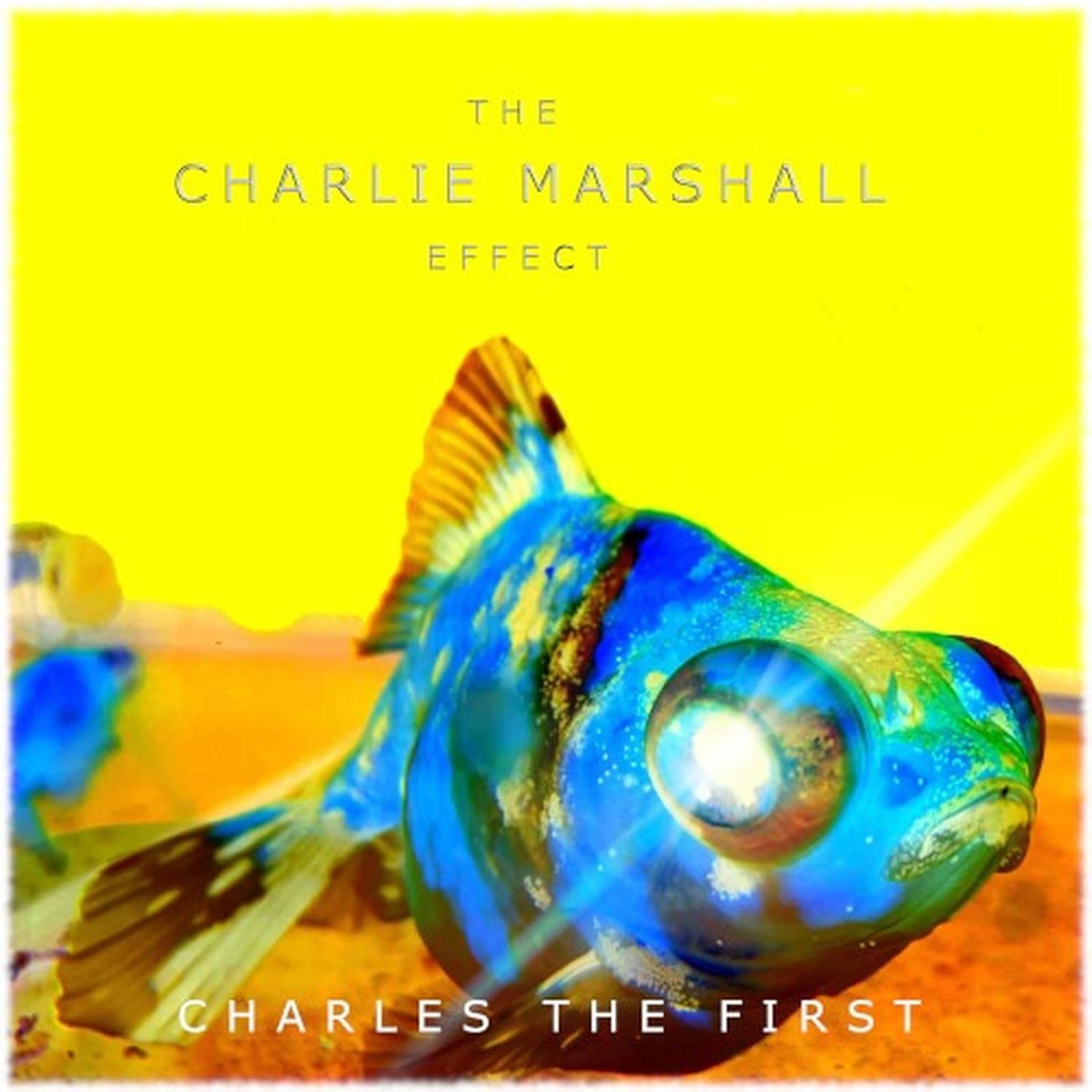 Please Don't Leave Me (The Grief Will Kill Me)