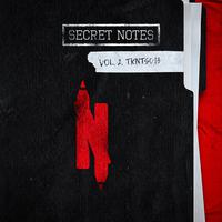 SECRET NOTES VOL. 2