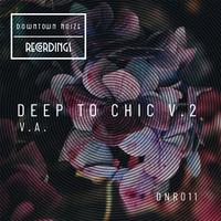 Deep to Chic Vol 2