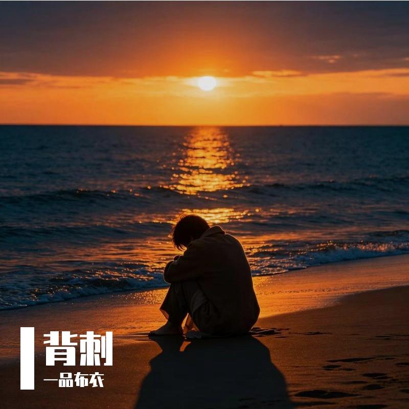 背刺 - 一品布衣封面