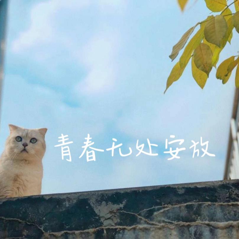 让我偷偷看你 伴奏封面