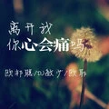 罗曼蒂克的爱情 (DJ版)封面