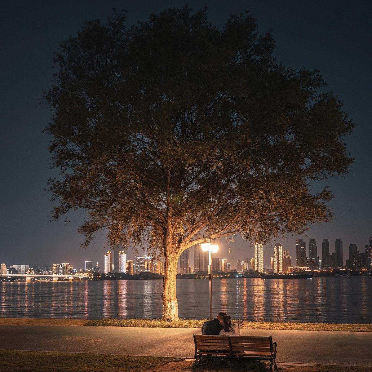 孤独又灿烂的树(Prod By LilSiren)