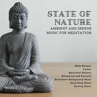 State Of Nature - Ambient And Serene Music For Meditation, Body Balance, Cosmic, Emotional Balance, Relaxation And Peaceful (Brainwave Background Music, Deep Sleep Music, Healing Music)