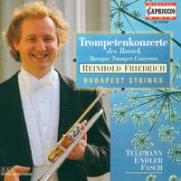 Trumpet Recital: Friedrich, Reinhold - ENDLER, J.S. / TELEMANN, G.P. / FASCH, J.F. (Baroque Trumpet Concertos)