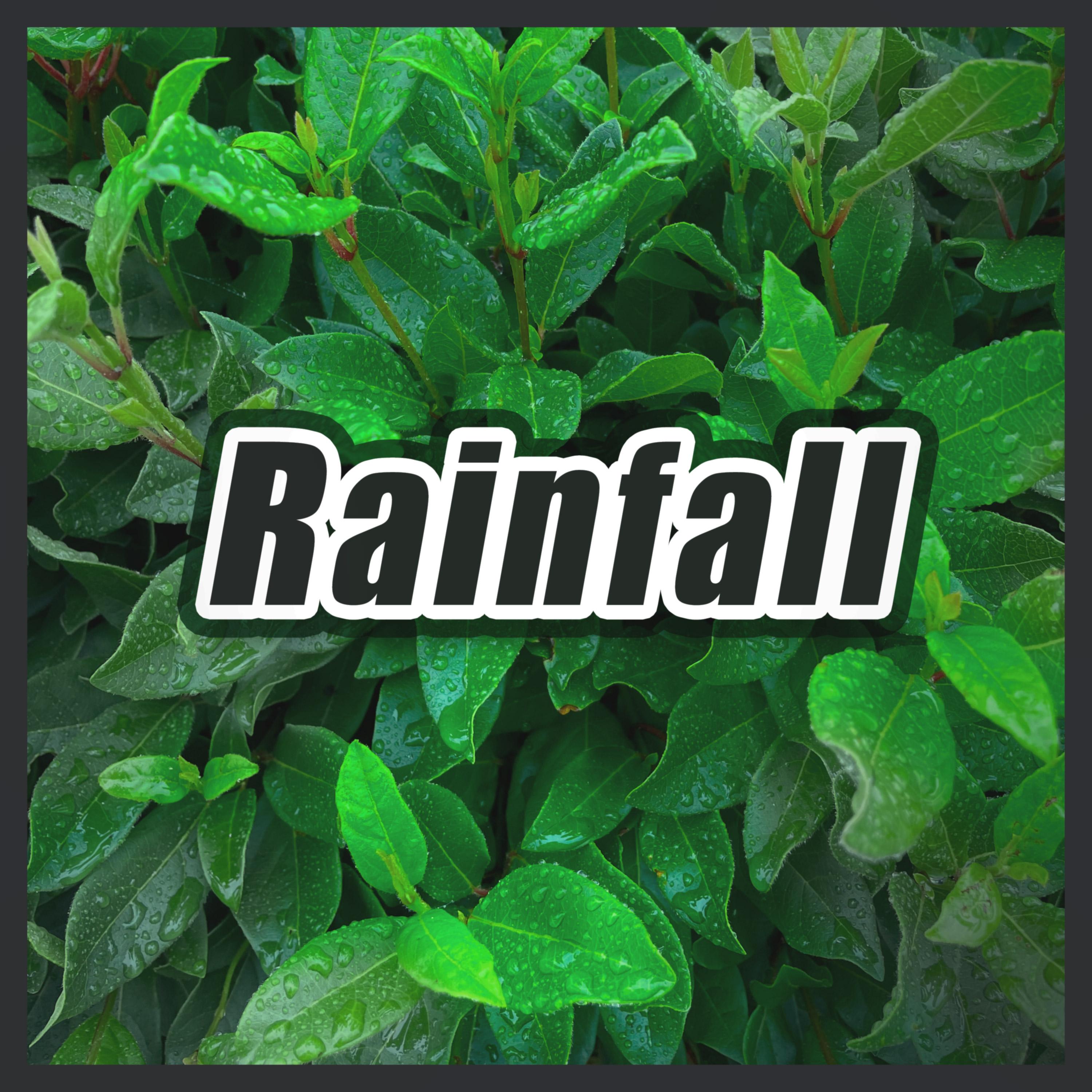 rainfall-sleep-sounds-of-nature