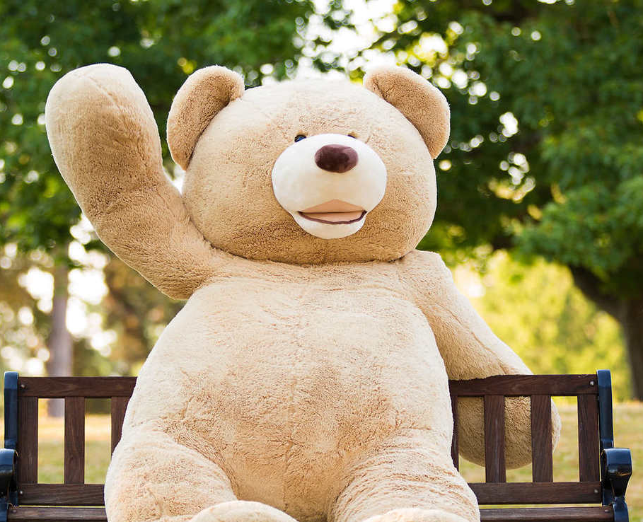 Teddy The Bear