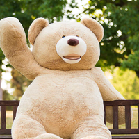 Teddy The Bear资料,Teddy The Bear最新歌曲,Teddy The BearMV视频,Teddy The Bear音乐专辑,Teddy The Bear好听的歌