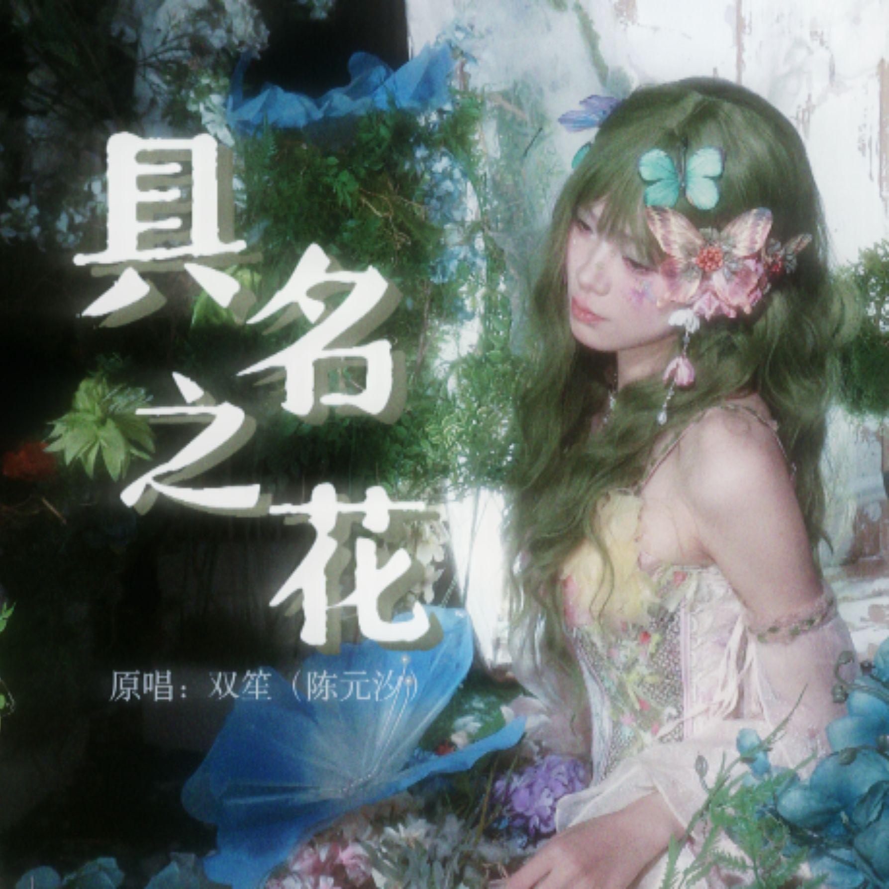 具名之花（翻自：双笙/陈元汐）