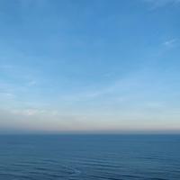 鸡蛋没蛋黄