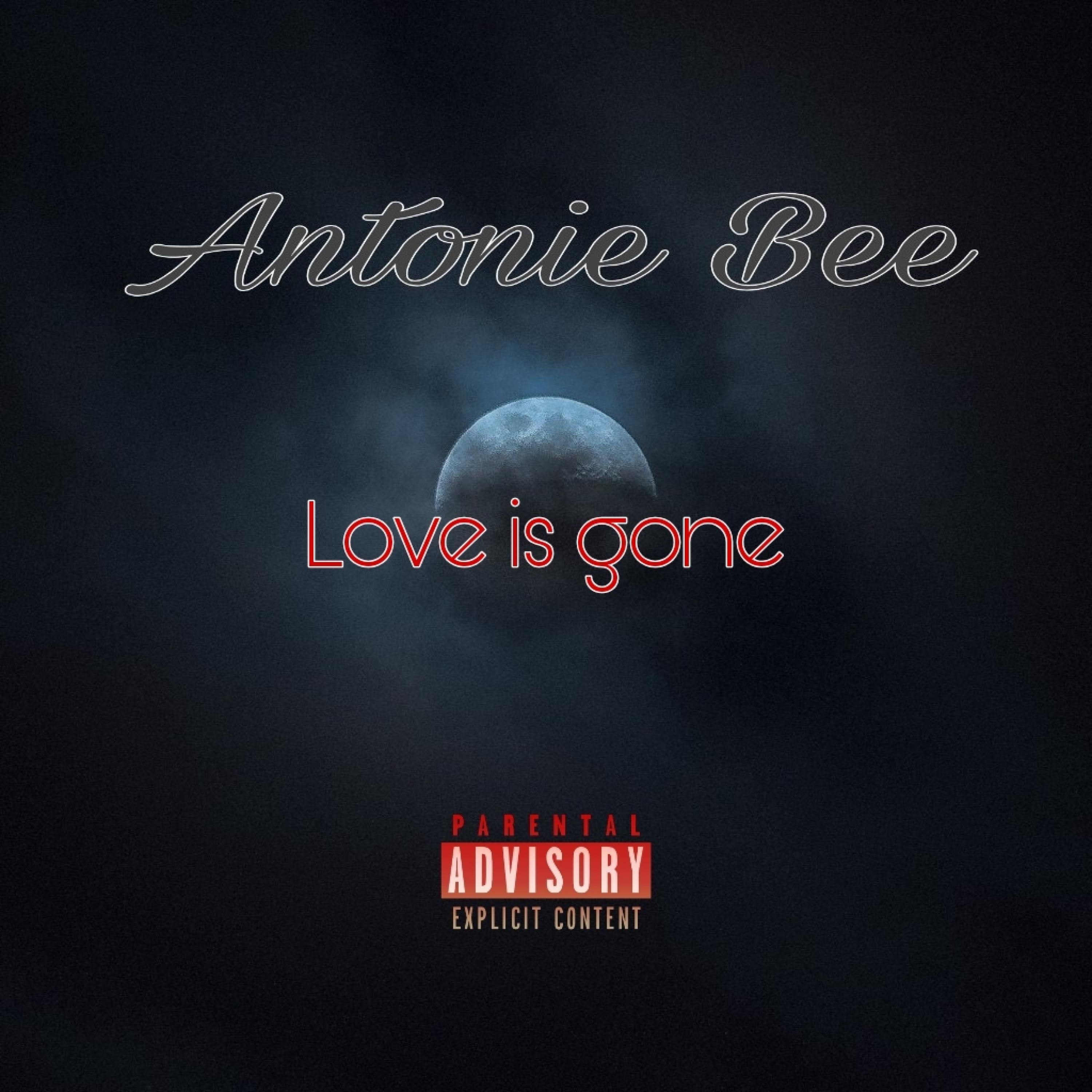 Love Is Gone