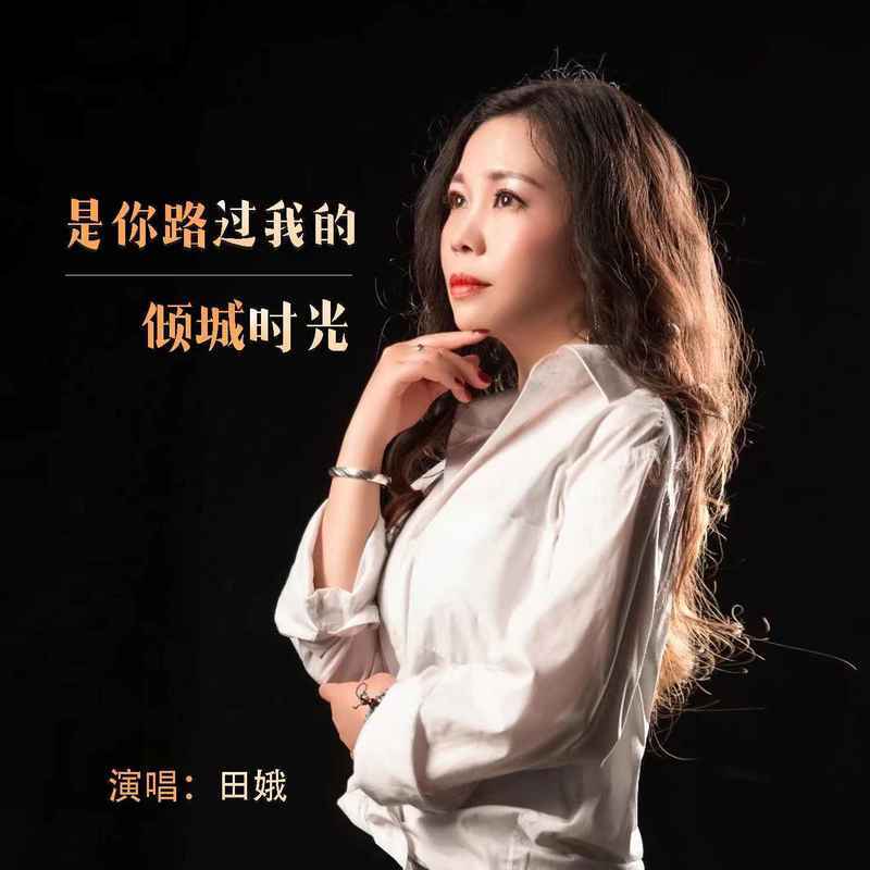 是你路过我的倾城时光 (DJ默涵版) - 田娥封面