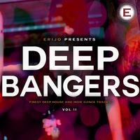 Deep Bangers, Vol. 11