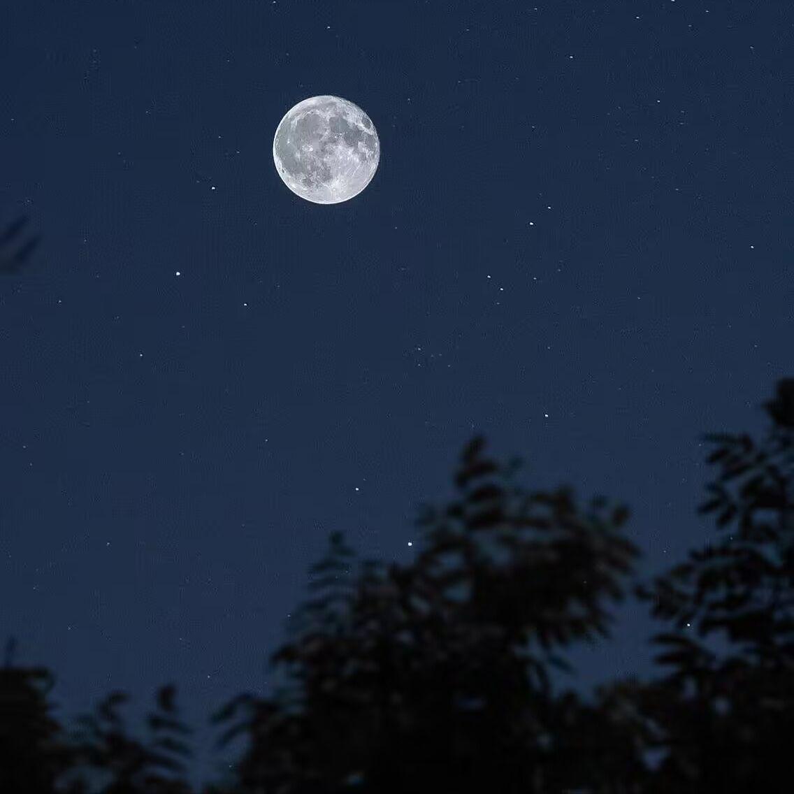 星空下的安睡封面
