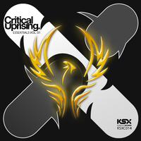 Critical Uprising Essentials, Vol. 01