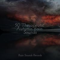 50 Therapeutic Autumn Rain Sounds