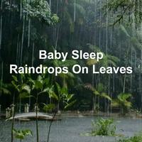 Baby Sleep Raindrops on Leaves