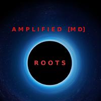 Amplified MD