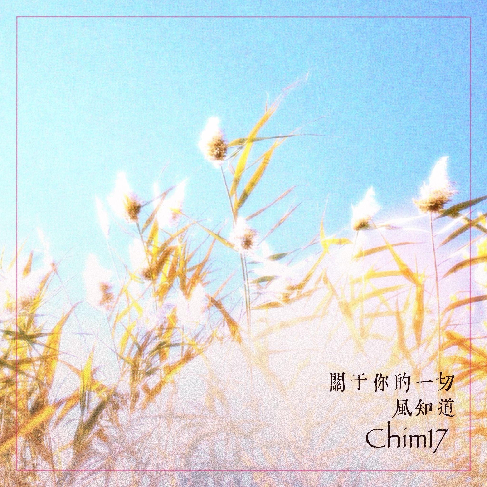 关于你的一切风知道