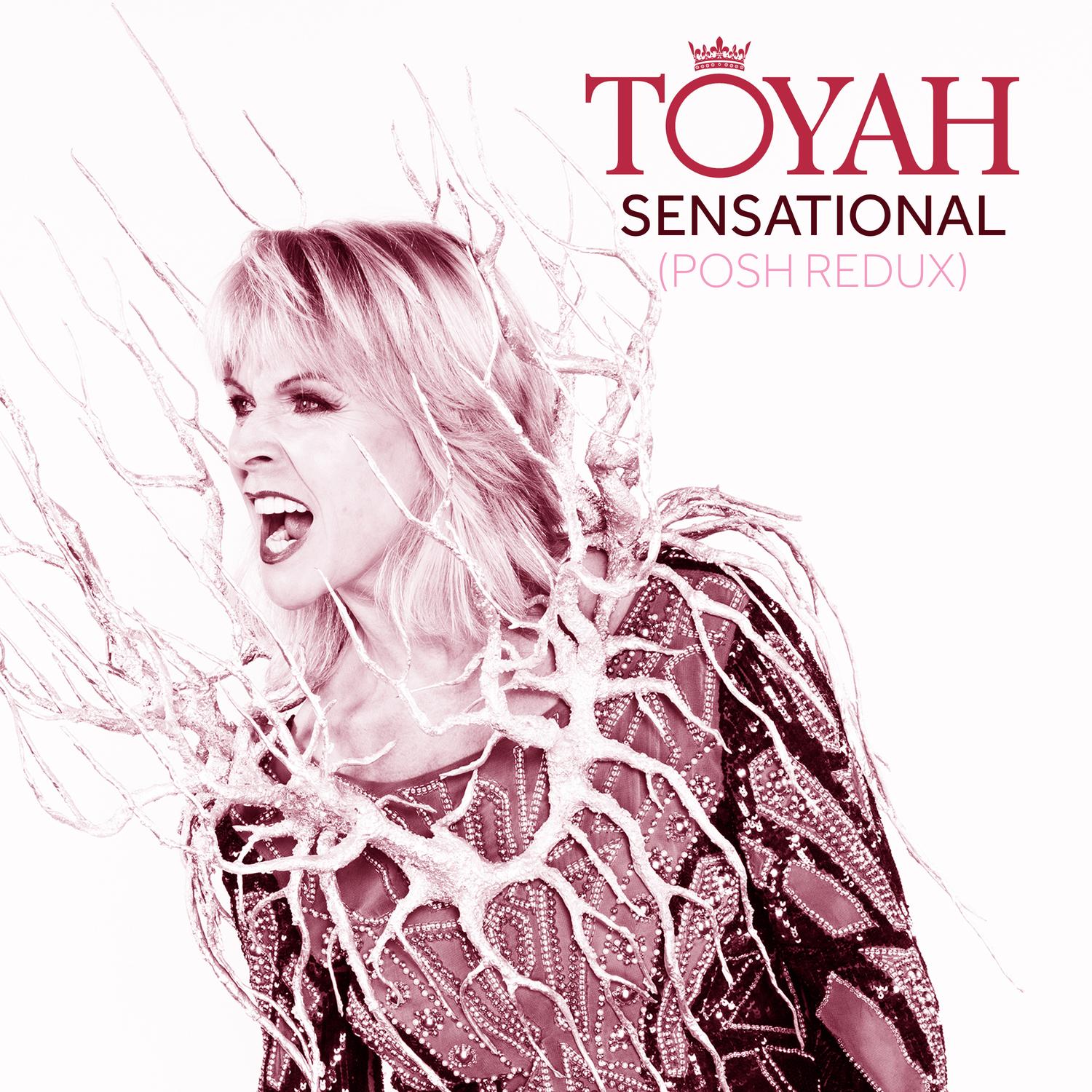 Sensational (feat. Robert Fripp) (Posh Redux)