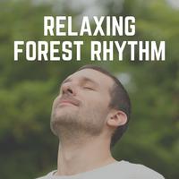 Relaxing Forest Rhythm