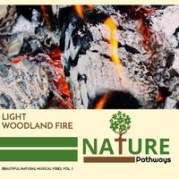 Light Woodland Fire - Beautiful Natural Musical Vibes, Vol. 3