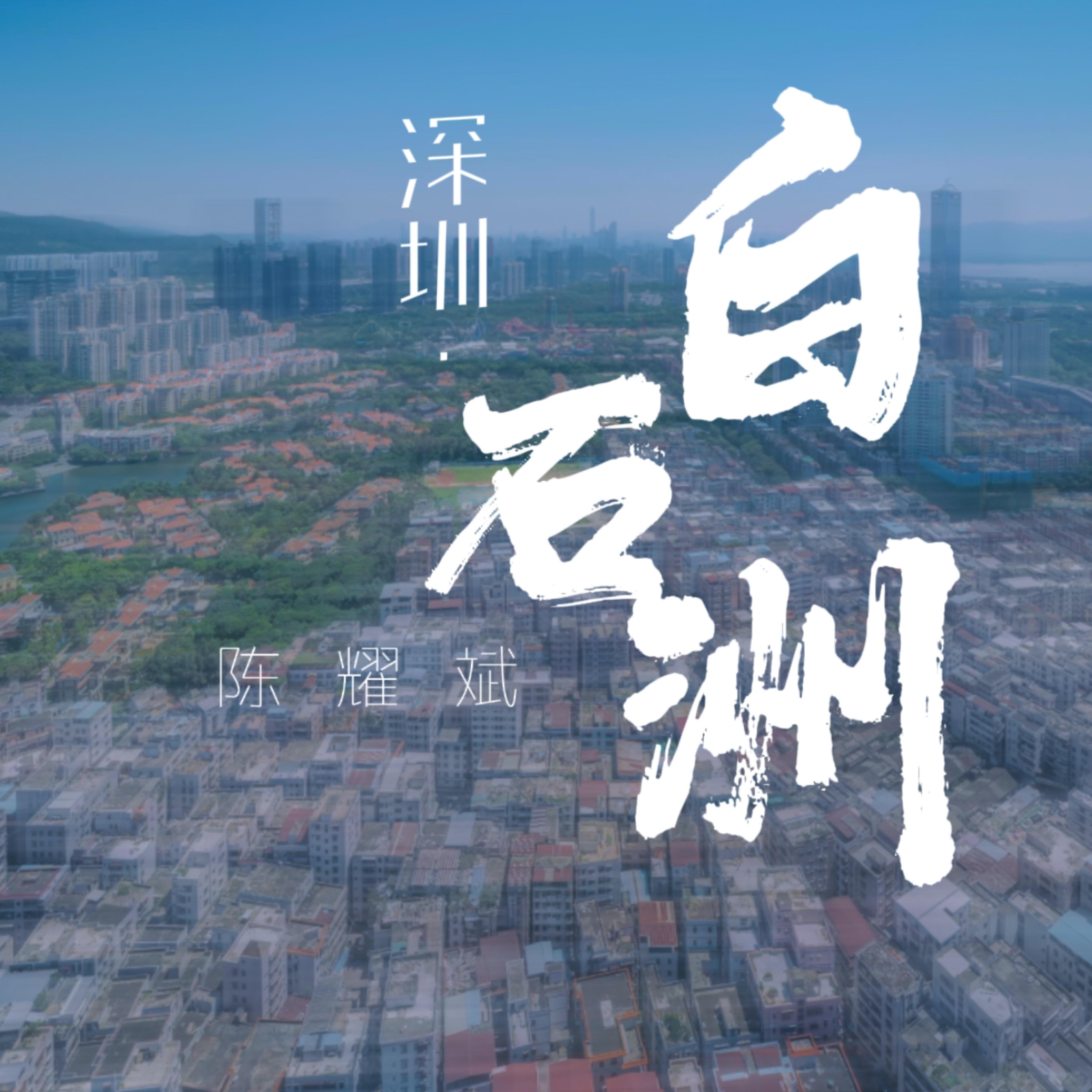 深圳·白石洲 - 陈耀斌封面