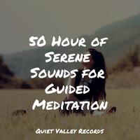 50 Hour of Serene Sounds for Guided Meditation