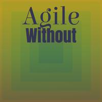 Agile Without