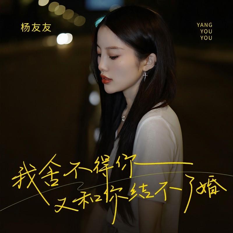 我舍不得你又和你结不了婚封面