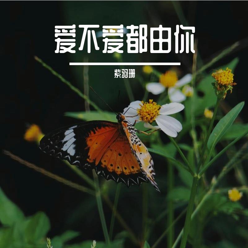 晴空邮差封面