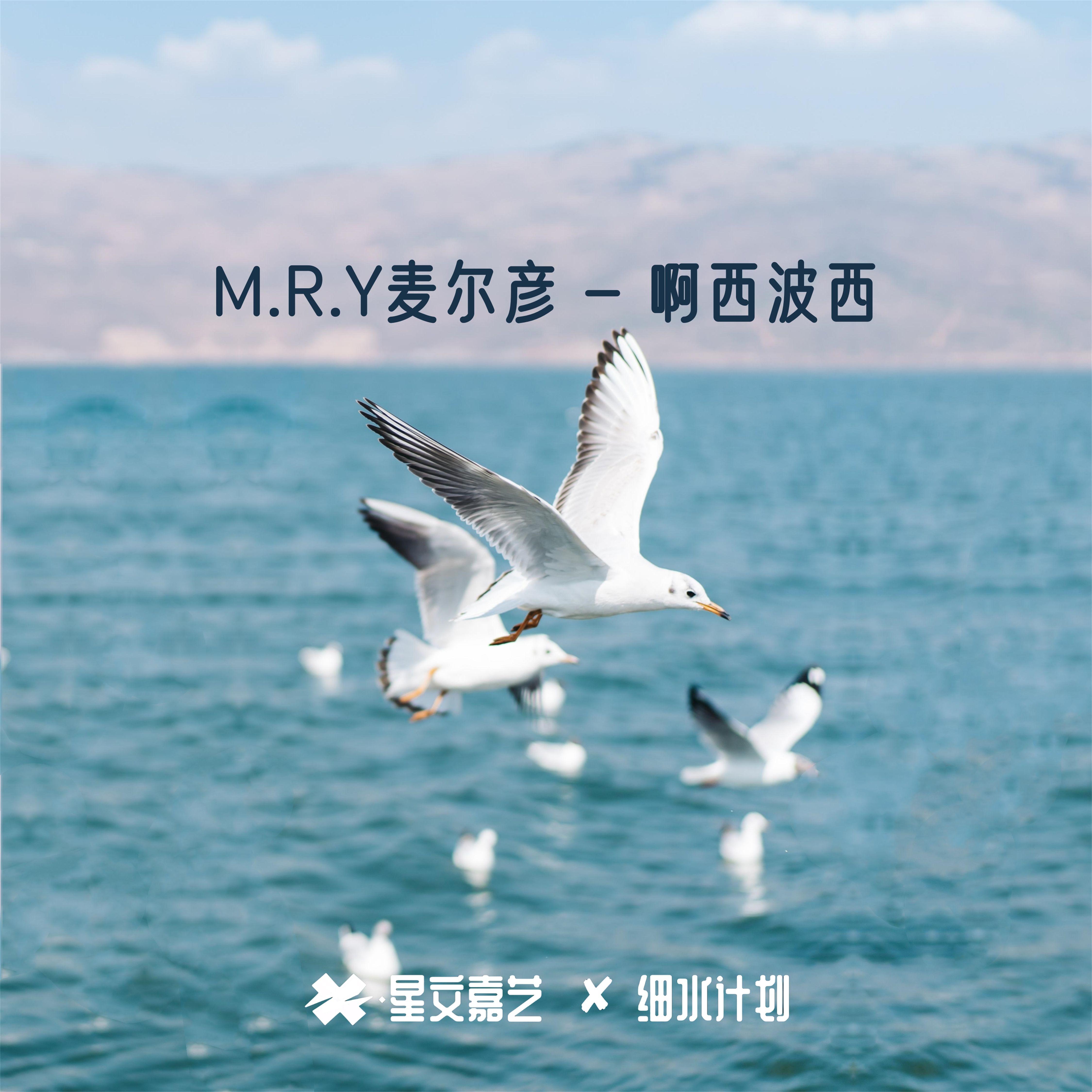 阿索阿索V3封面