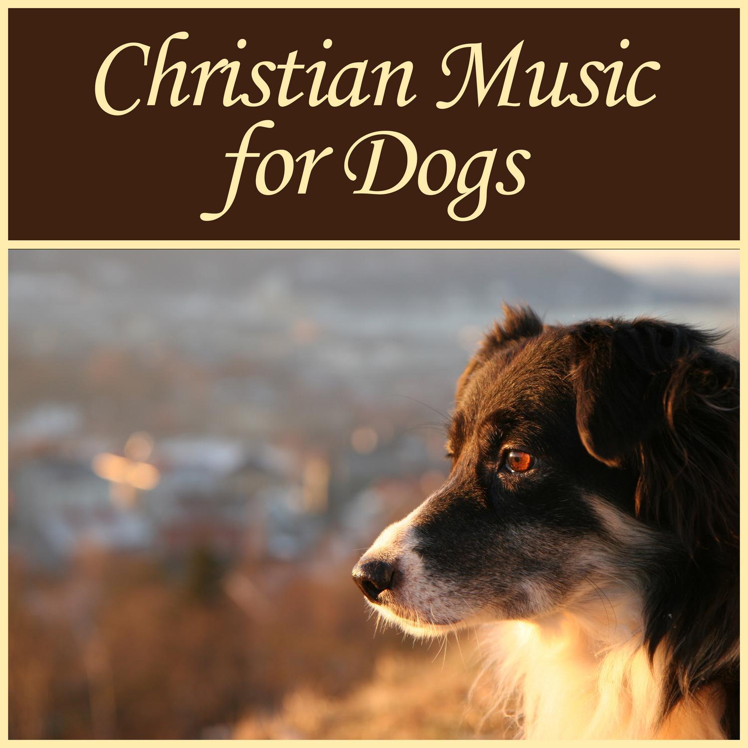 Nashville TN Craigslist Pets: Finding Your Perfect Companion in Music City