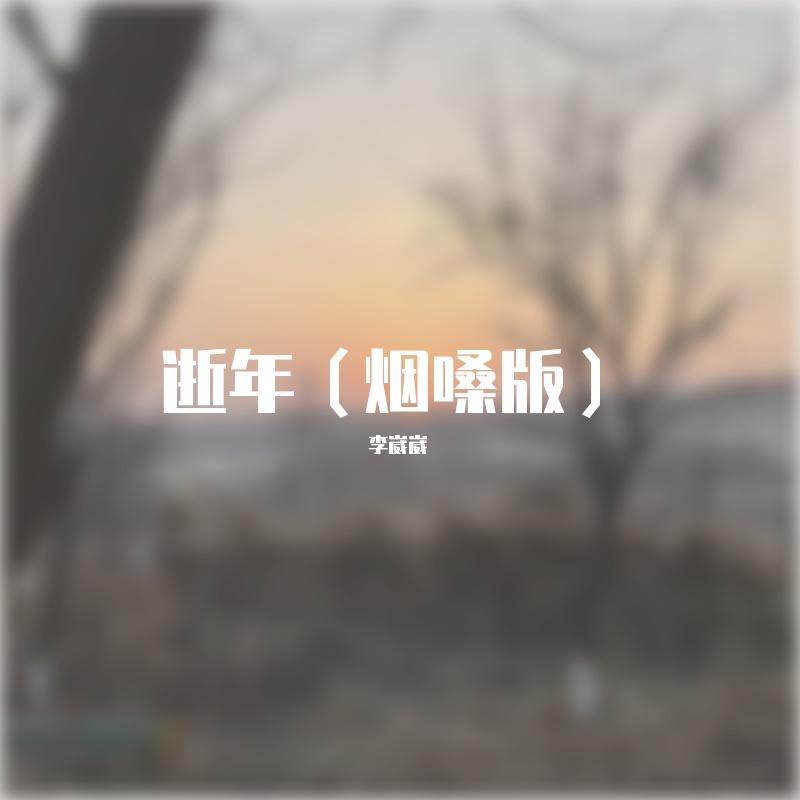 逝年(烟嗓版)封面