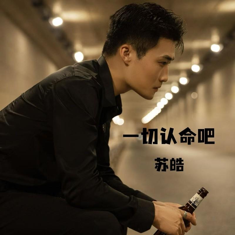 一切认命吧封面