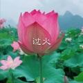 黄梅戏 (DJ版)封面