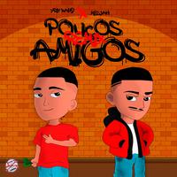 Poucos Amigos (feat. Mesjah & Erne$t) [Remix]