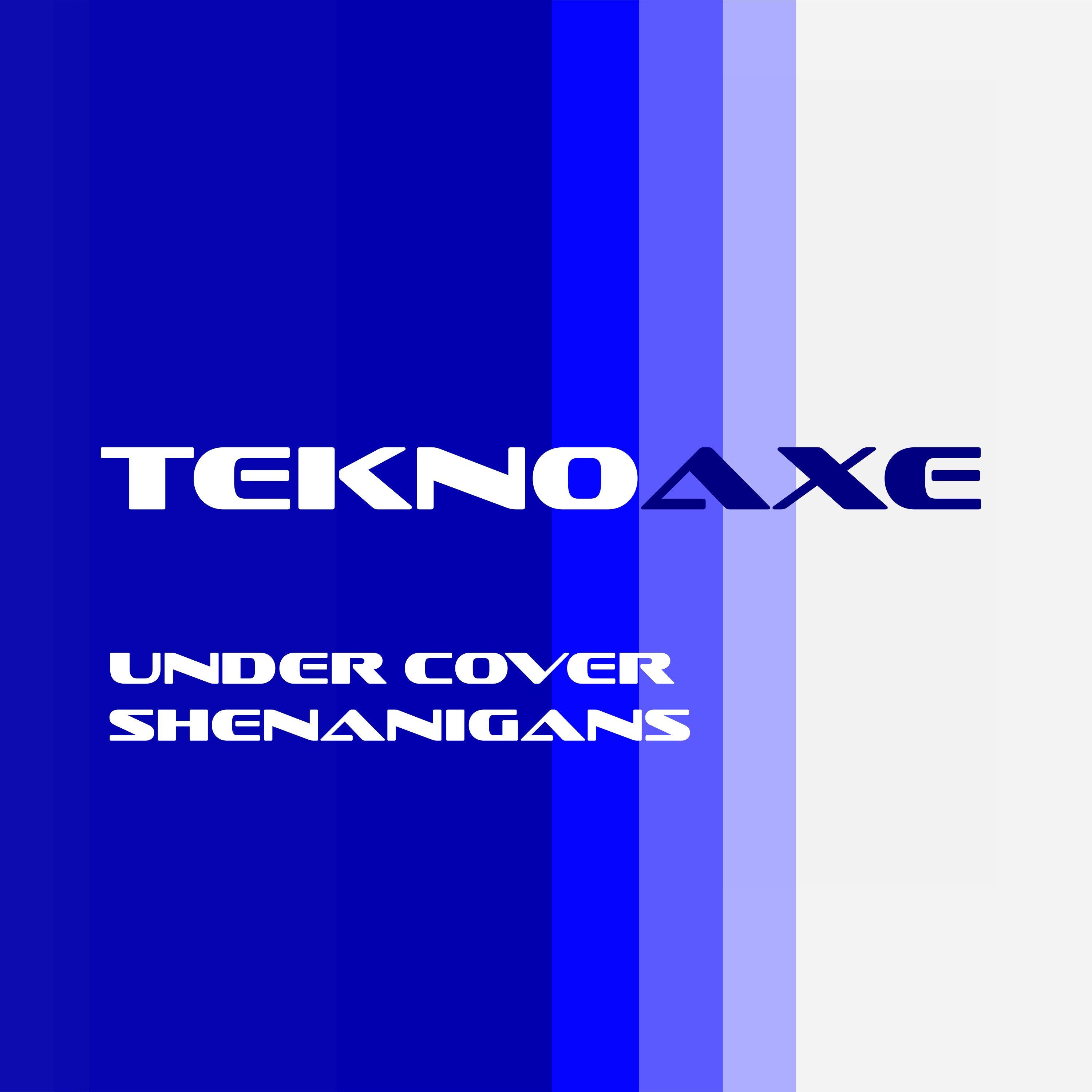 Under Cover Shenanigans