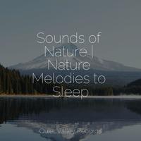 Sounds of Nature | Nature Melodies to Sleep