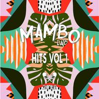 Mambo Hits, Vol. 1